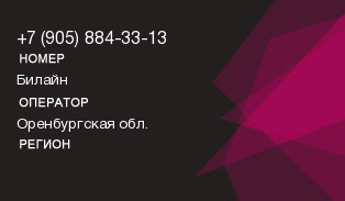 9058843313